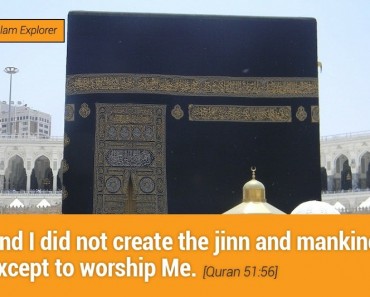 I did not create the jinn and mankind except to worship Me