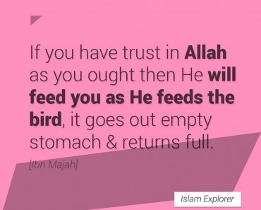 If you have trust in Allah as you ought them He will feed you as He feeds the bird